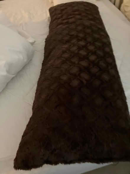 Photo of free body pillow (Novato) #1