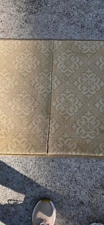 Photo of free CURB ALERT***Long Carpet Runner (Brookhaven) #4