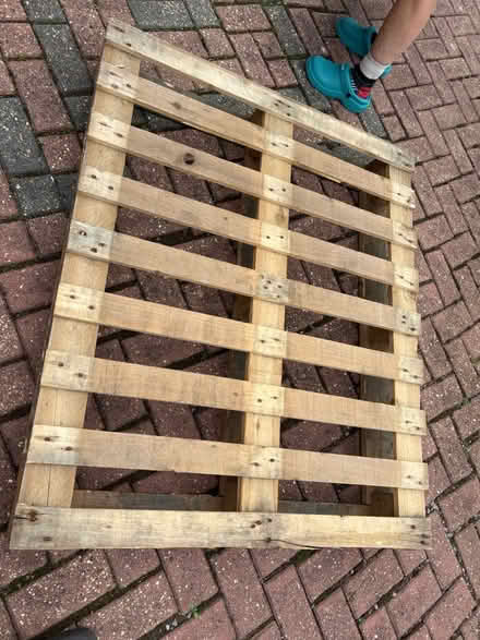 Photo of free Pallet 4ftx3.5ft (Paignton TQ4) #1