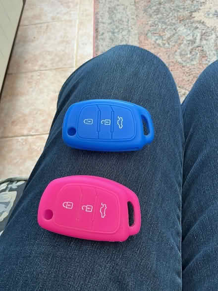 Photo of free Car key protectors (Spondon DE21) #1