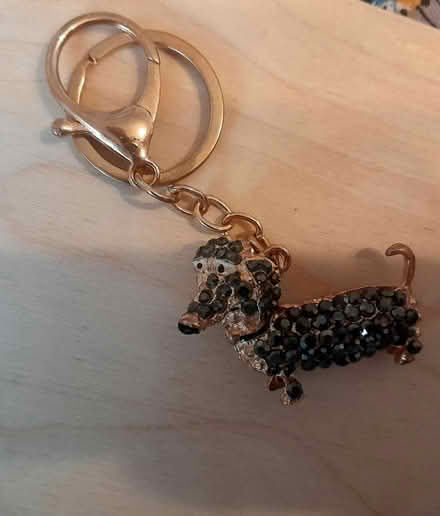 Photo of free Dachshund Keyring (Worle, Weston super Mare) #2