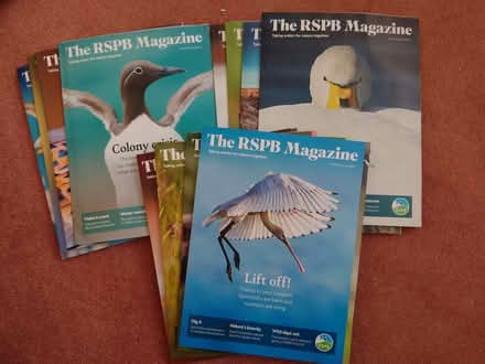 Photo of free RSPB magazines (Clerwood EH12) #1