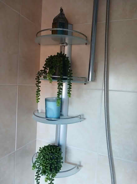 Photo of free Bathroom shelves, light, mirror (Scarborough South Cliffe) #3
