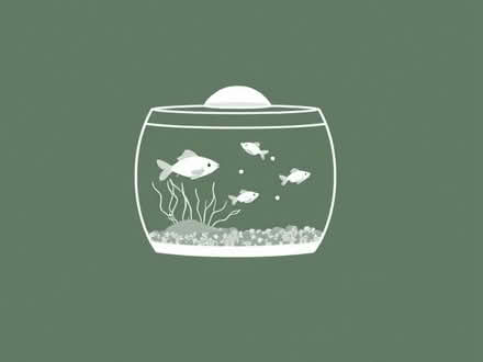 Photo of free Fishtanks (Skaters' Meadow CB3) #1