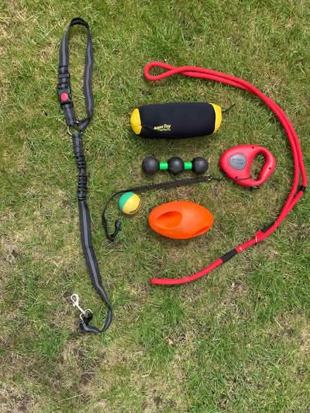 Photo of free Dog toys and leads (North Camp GU14) #1