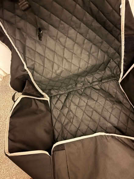 Photo of free Large dog car seat liner (Bracknell’s RG42) #1