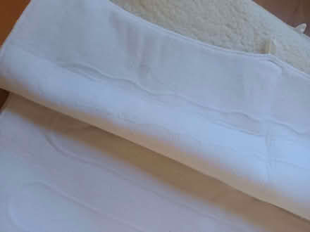 Photo of free fleecy blanket for pet (Old Road OX3) #3