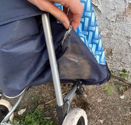 Photo of free Shopping trolley bag on wheels (Selhurst SE25) #4
