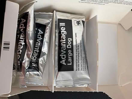 Photo of free Advantage II for fleas - L (Rodeo) (Old Rodeo) #1