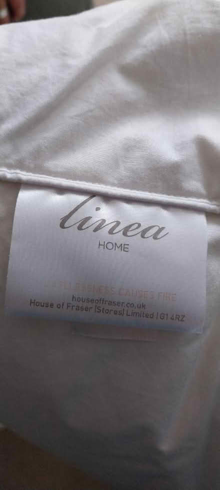 Photo of free Bed pillows 55cm square (Kendal LA9) #2