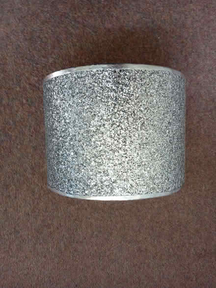 Photo of free Silver glitter lamp shade (Elvaston Meadows DE72) #1