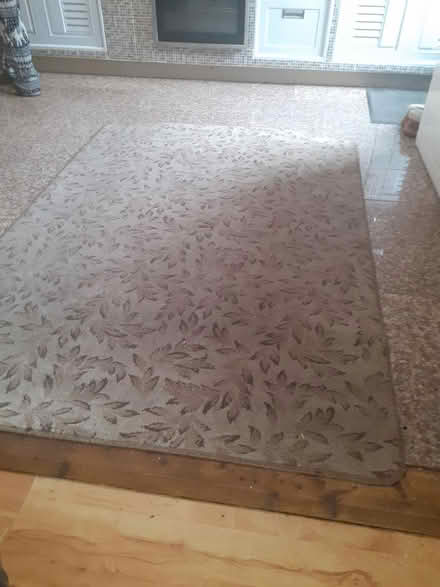 Photo of free rugs (Bray) #1
