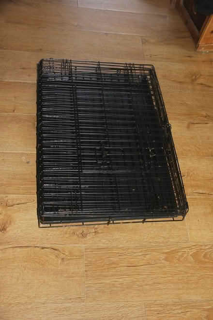 Photo of free Dog crate (Cambridge CB1) #1