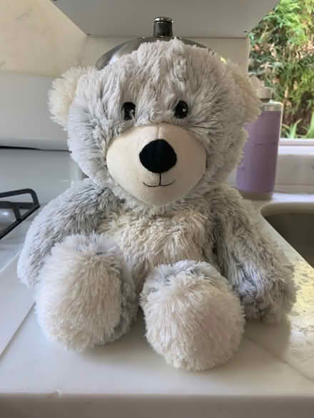 Photo of free Lavender bear (Woodside near Town) #2