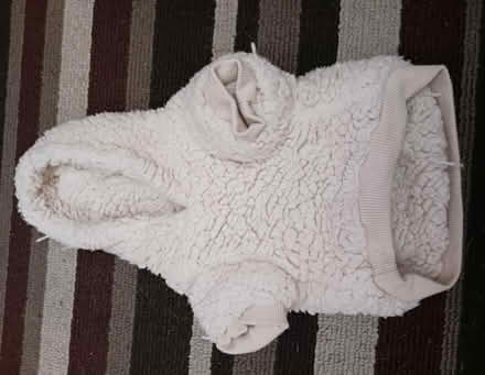 Photo of free Doggie Clothing/Toy/Treat Bundle (Walnut Creek) #1
