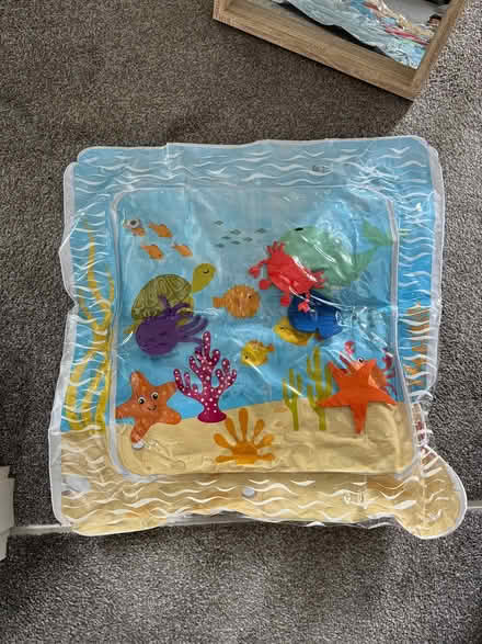 Photo of free Tummy Time Inflatable Activity Mat (Clay Farm, Leopardstown) #1