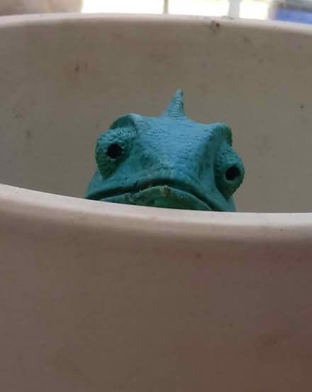Photo of free Garden ornament (Horsham, near Bennetts Field) #1