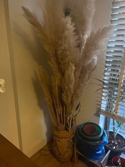 Photo of free Pampas Grass with basket vase (E5 Harry Zeital Way) #2