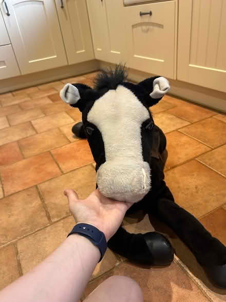 Photo of free soft toy horse (Church Street CT5) #1