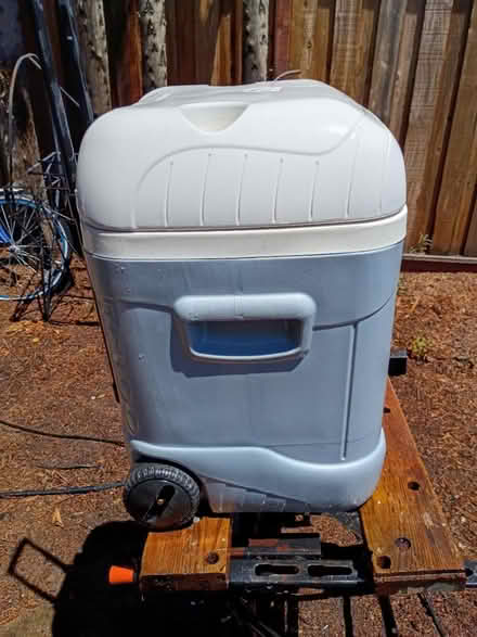 Photo of free Large Igloo Cooler (Vacaville) #3