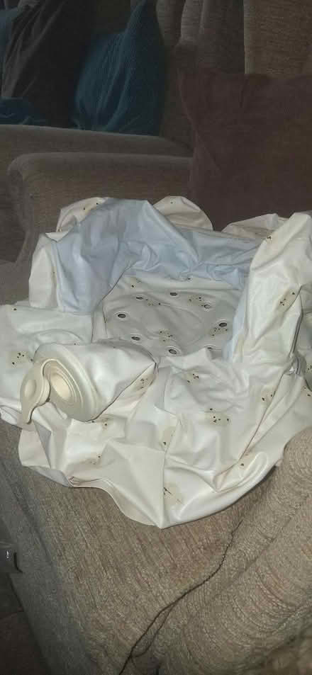 Photo of free Inflatable bath seat infant (Torrisholme) #1