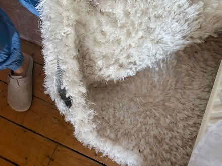 Photo of free Large white rug (Shawlands G41) #4