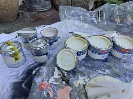 Photo of free Cream/white toned paint sample (New Malden KT3) #1