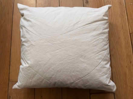 Photo of free Feather filled cushion inner 48cm (Hampden Park BN22) #1