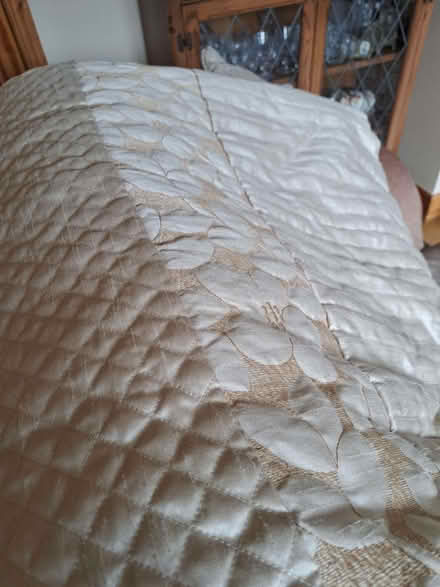 Photo of free Dunelm Double Bedspread (Darley Hillside DE4) #4