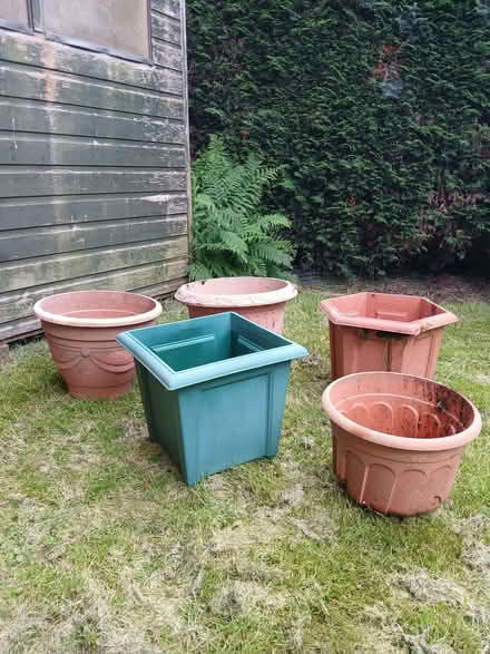 Photo of free Pots for your patio anybody? (Chorley SK9) #1