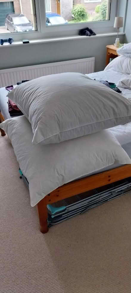 Photo of free Bed pillows 55cm square (Kendal LA9) #1
