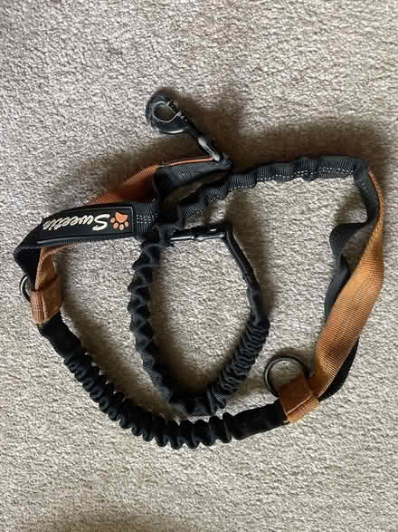 Photo of free Running dog lead (Barnet) #1