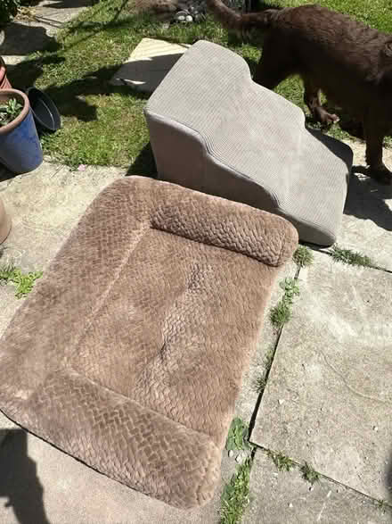Photo of free Dog crate, bed & dog steps (Milton OX14) #2