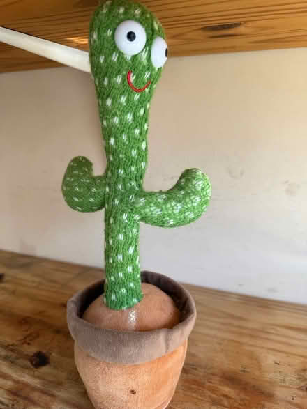 Photo of free Talking cactus toy (MK6 Peartree Bridge) #1