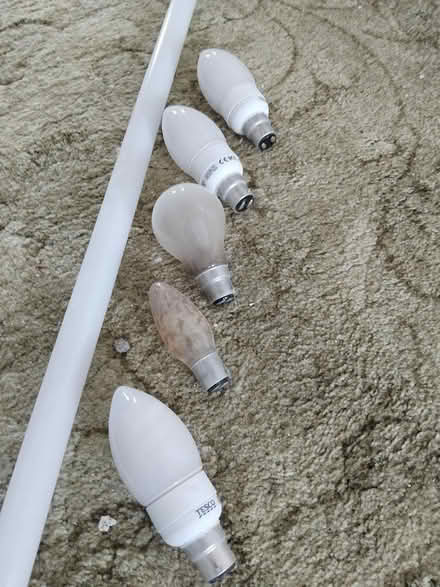 Photo of free Various light bulbs (TR14) #2