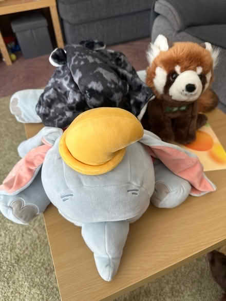 Photo of free Soft toys (Milton OX14) #1