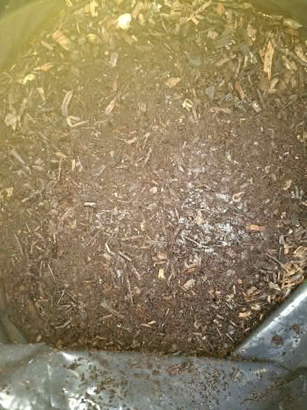 Photo of free Planters, topsoil (Dursley, Cam) #2