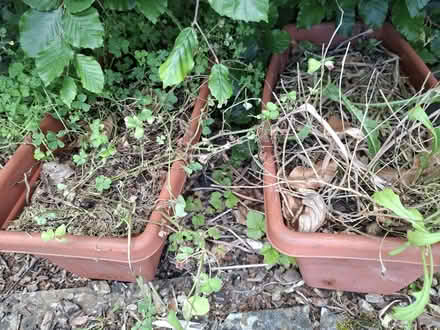 Photo of free Planters, topsoil (Dursley, Cam) #3