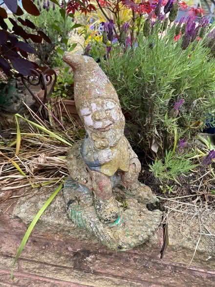 Photo of free Garden gnome (Croxteth L12) #1