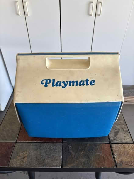 Photo of free Igloo Playmate Cooler (Highland Ave, RWC) #1
