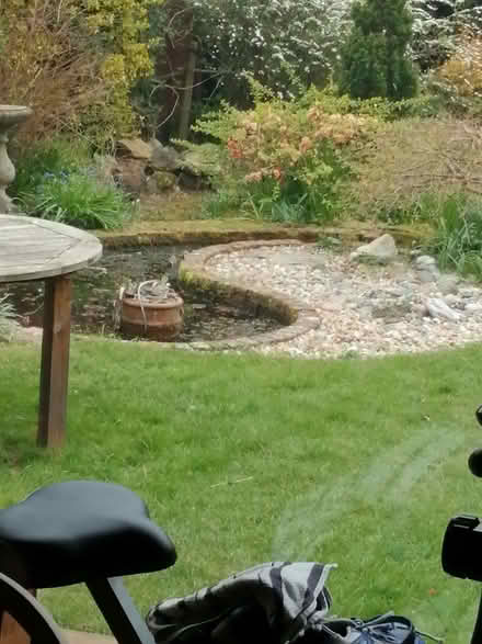Photo of free Chipped and broken bricks, 3/4 and half bricks . (Shinfield RG2) #1
