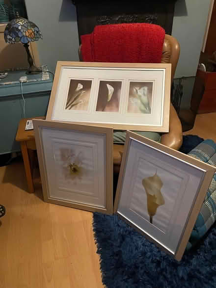 Photo of free Set of flower frame wall art (LE3) #1