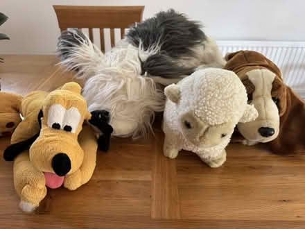 Photo of free Soft toys (Highfields Caldecote) #1