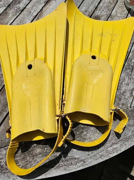 Photo of free Flippers Adult 8-10 (Woodford IG8) #1