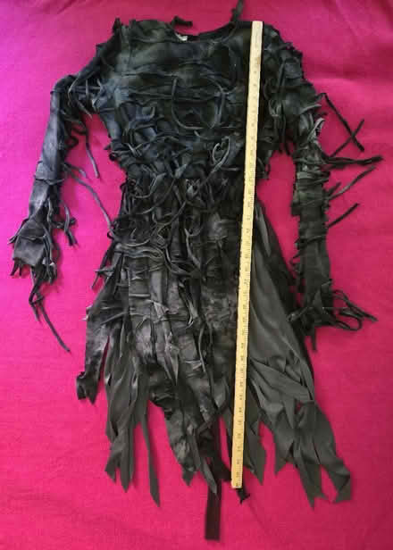 Photo of free Spooky Costume Dress - Child's XL (West 7th) #3