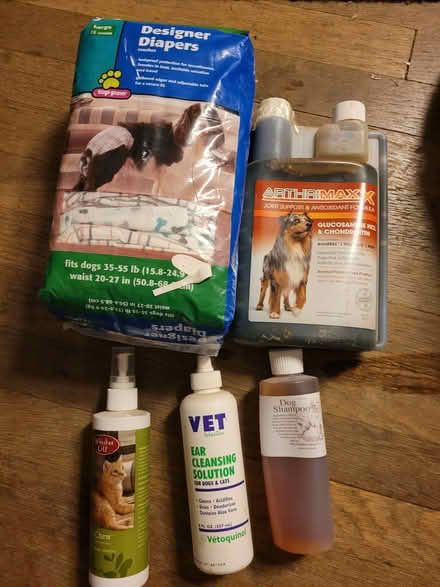 Photo of free Dog supplies (and one cat supply) (Downtown San Jose) #1