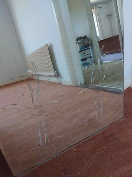 Photo of free Mirror with fish engraving (TR14) #2