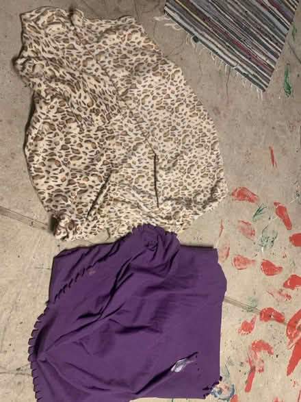 Photo of free Pet duvets (North walbottle NE5) #1
