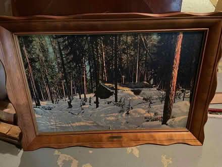 Photo of free Old winter print (Savage MD 20763) #1