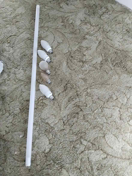 Photo of free Various light bulbs (TR14) #1